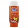 8002410009613 Neutro Roberts Doccia Shampoo Energizzante - Cedro E Zenzero 250ml