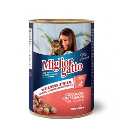 8007520012157Miglior Gatto Bocconcini Con Salmone 405gr