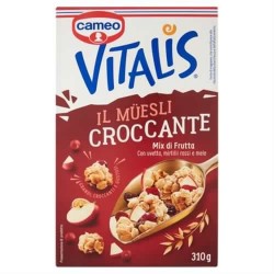 8003000189104Cameo Vitalis Mix Di Frutta 310gr