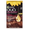 3600542487085Garnier Olia 5.3 Castano Dorato New 1pz