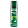 8718951540644Palmolive Schiuma Rinfrescante al Mentolo 300ml