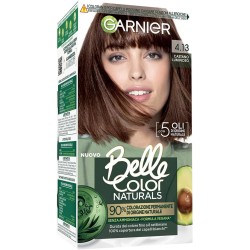 3600542451123Garnier Belle Color Naturals Castano Luminoso 4.13 1pz