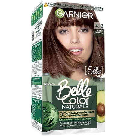 3600542451123Garnier Belle Color Naturals Castano Luminoso 4.13 1pz