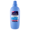 8001280034008Felce Azzurra Ammorbidente Concentrato Classico New 2000ml