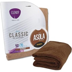 8033532104061 Clendy Panno Microfibra Con Asola 50x70cm New 1pz