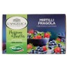 8017331099384 L'Angelica Infuso Valfrutta Mirtilli e Fragola 15 Filtri