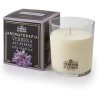 8006545182234 Di Giorgio Aromaterapia Candela Verbana 1pz
