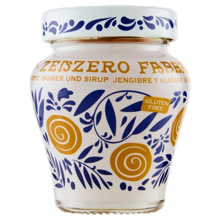 8001780498881 Fabbri Zenzero e Sciroppo Vaso 230gr