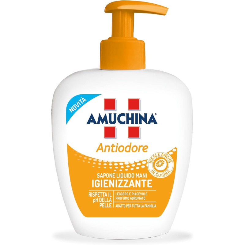 Amuchina Sapone Liquido Antiodore Con Dispenser 250ml