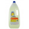 8007223000079Cloral Candeggina 2lt